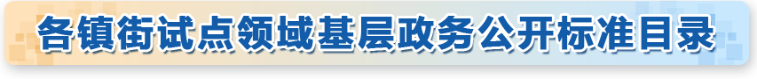 各镇街试点领域基层政务公开标准目录